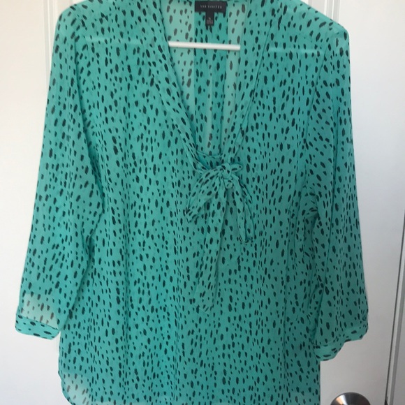 The Limited sheer mint green blouse - Picture 2 of 2